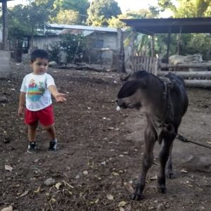 Meet your Posher, Alex